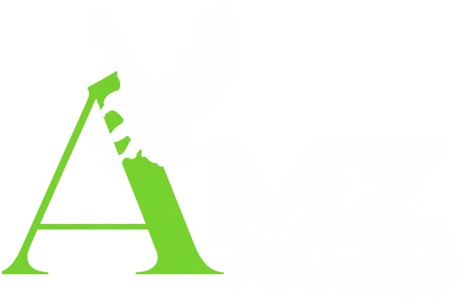 AMZ Finance